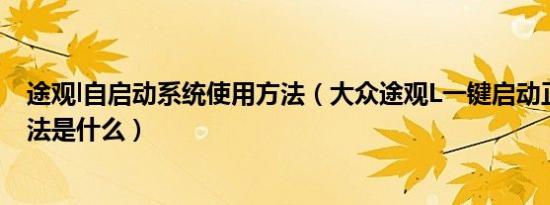 途观l自启动系统使用方法（大众途观L一键启动正确使用方法是什么）