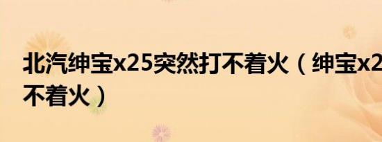 北汽绅宝x25突然打不着火（绅宝x25突然打不着火）