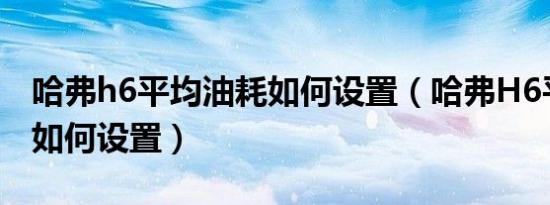 哈弗h6平均油耗如何设置（哈弗H6平均油耗如何设置）