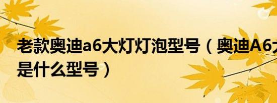 老款奥迪a6大灯灯泡型号（奥迪A6大灯灯泡是什么型号）