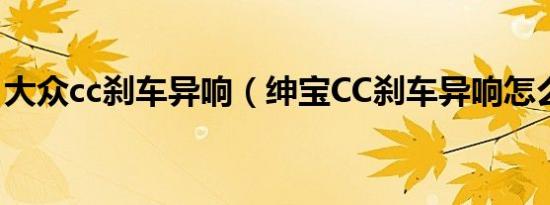 大众cc刹车异响（绅宝CC刹车异响怎么解决）