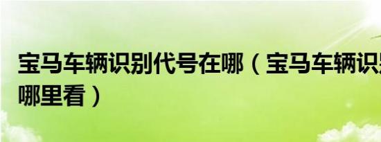 宝马车辆识别代号在哪（宝马车辆识别代号在哪里看）