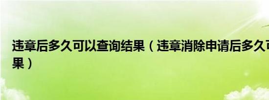 违章后多久可以查询结果（违章消除申请后多久可以查询结果）