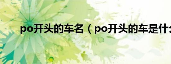 po开头的车名（po开头的车是什么）