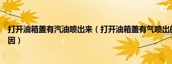 打开油箱盖有汽油喷出来（打开油箱盖有气喷出的是什么原因）