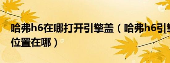 哈弗h6在哪打开引擎盖（哈弗h6引擎盖开关位置在哪）