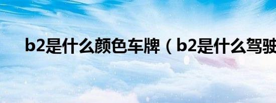 b2是什么颜色车牌（b2是什么驾驶证）