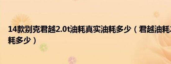 14款别克君越2.0t油耗真实油耗多少（君越油耗2.0t实测油耗多少）