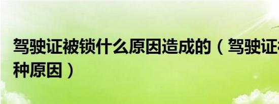 驾驶证被锁什么原因造成的（驾驶证被锁有几种原因）