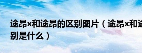 途昂x和途昂的区别图片（途昂x和途昂的区别是什么）