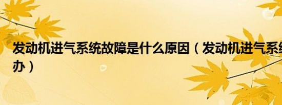 发动机进气系统故障是什么原因（发动机进气系统故障怎么办）