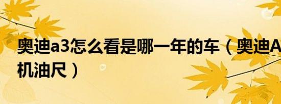 奥迪a3怎么看是哪一年的车（奥迪A3怎么看机油尺）