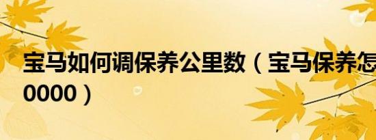 宝马如何调保养公里数（宝马保养怎么调至10000）