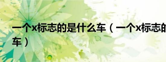 一个x标志的是什么车（一个x标志的是什么车）