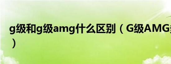 g级和g级amg什么区别（G级AMG多少马力）