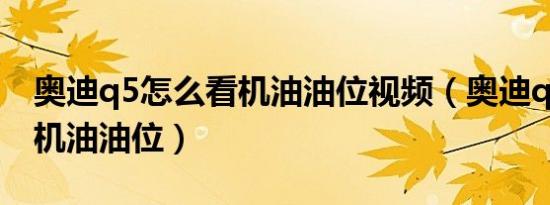 奥迪q5怎么看机油油位视频（奥迪q5怎么看机油油位）