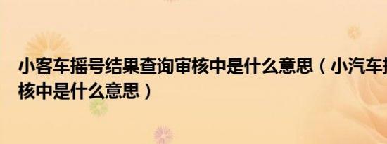 小客车摇号结果查询审核中是什么意思（小汽车摇号显示审核中是什么意思）