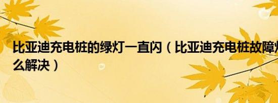 比亚迪充电桩的绿灯一直闪（比亚迪充电桩故障灯一直闪怎么解决）