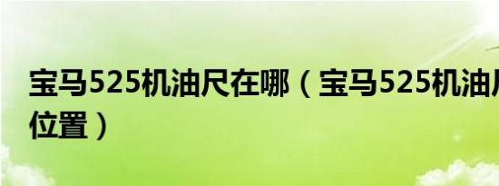 宝马525机油尺在哪（宝马525机油尺在哪个位置）