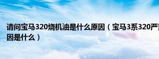 请问宝马320烧机油是什么原因（宝马3系320严重烧机油原因是什么）