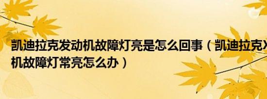 凯迪拉克发动机故障灯亮是怎么回事（凯迪拉克XT160发动机故障灯常亮怎么办）