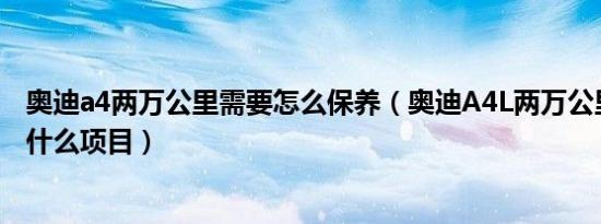 奥迪a4两万公里需要怎么保养（奥迪A4L两万公里应该保养什么项目）