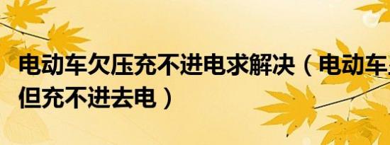 电动车欠压充不进电求解决（电动车显示欠压但充不进去电）