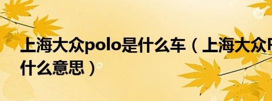 上海大众polo是什么车（上海大众POLO是什么意思）