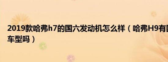 2019款哈弗h7的国六发动机怎么样（哈弗H9有国六版本的车型吗）