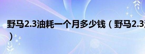 野马2.3油耗一个月多少钱（野马2.3油耗多少）