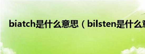 biatch是什么意思（bilsten是什么意思）