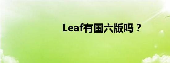 Leaf有国六版吗？