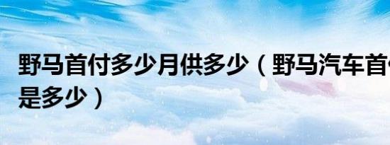 野马首付多少月供多少（野马汽车首付和月供是多少）