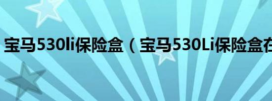 宝马530li保险盒（宝马530Li保险盒在哪里）