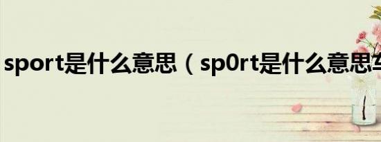 sport是什么意思（sp0rt是什么意思车上的）