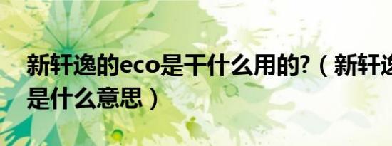 新轩逸的eco是干什么用的?（新轩逸中ECO是什么意思）