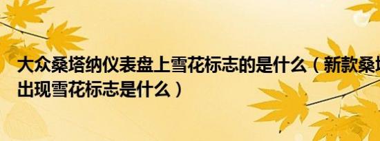 大众桑塔纳仪表盘上雪花标志的是什么（新款桑塔纳仪表盘出现雪花标志是什么）