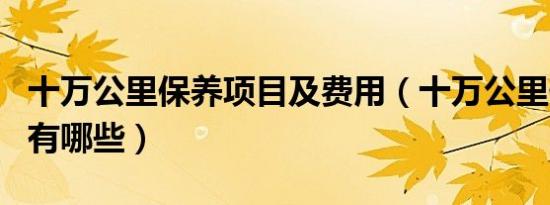 十万公里保养项目及费用（十万公里保养项目有哪些）