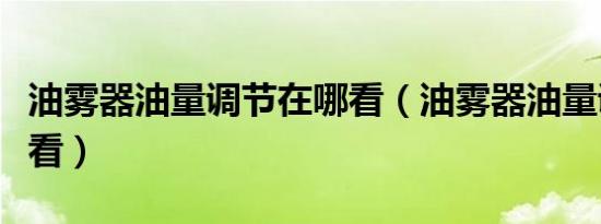 油雾器油量调节在哪看（油雾器油量调节在哪看）