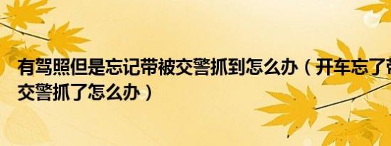 有驾照但是忘记带被交警抓到怎么办（开车忘了带驾驶证被交警抓了怎么办）