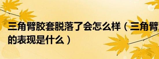 三角臂胶套脱落了会怎么样（三角臂胶套坏了的表现是什么）